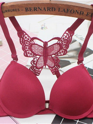 Sajiero Butterfly - Fun Night Padded Bra Maroon